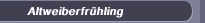 Altweiberfrühling